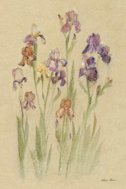 Irises II by Cheri Blum. SKU 7280h. Archival Giclee Fine art print for wall decor.