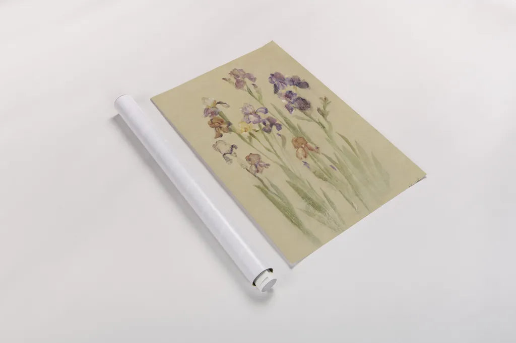 Irises II by Cheri Blum. shown as a rolled paper print. Available as archival giclee rolled canvas, fine art paper, or poster print. SKU 7280h.