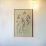 Irises II by Cheri Blum. shown as a paper print in a natural frame. Available as a archival giclee rolled canvas, fine art paper, or poster print. SKU 7280h.