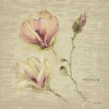 Magnolia Blossomjpg by Cheri Blum. SKU 7022a. Archival Giclee Fine art print for wall decor.