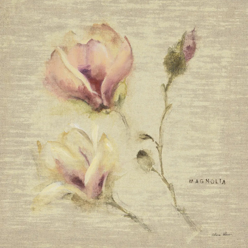 Magnolia Blossomjpg by Cheri Blum. SKU 7022a. Archival Giclee Fine art print for wall decor.