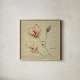 Magnolia Blossomjpg by Cheri Blum. Shown in a natural wood glass frame for a timeless modern aesthetic. Available as an archival giclee rolled canvas, fine art paper, or poster print. SKU 7022a.