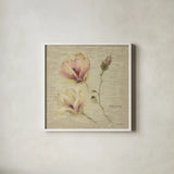 Magnolia Blossomjpg by Cheri Blum. Shown in a crisp white glass frame for a clean and minimalist style. Available as an archival giclee rolled canvas, fine art paper, or poster print. SKU 7022a.