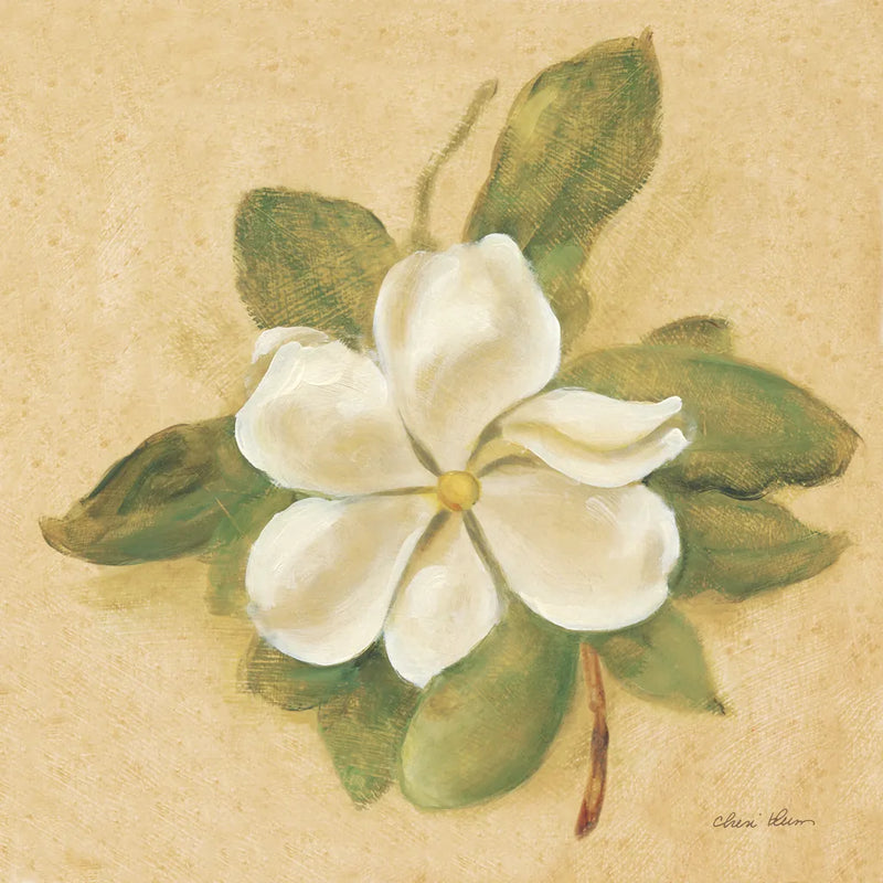 Magnolia Crop by Cheri Blum. SKU 7111a. Archival Giclee Fine art print for wall decor.