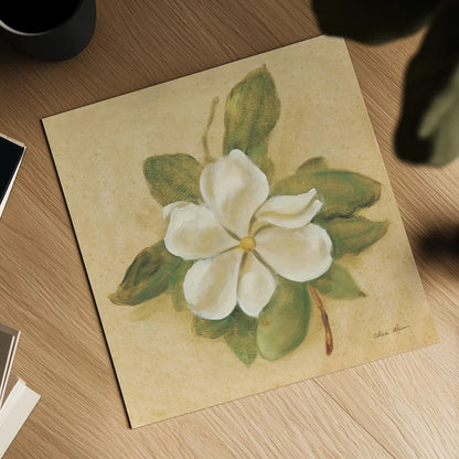 Magnolia Crop by Cheri Blum. Shown as a detailed flat fine art print, highlighting archival giclee quality. Available as an archival giclee rolled canvas, fine art paper, or poster print. SKU 7111a.