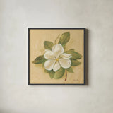 Magnolia Crop by Cheri Blum. Shown in a sleek black glass frame for a contemporary gallery look. Available as an archival giclee rolled canvas, fine art paper, or poster print. SKU 7111a.