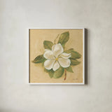 Magnolia Crop by Cheri Blum. Shown in a crisp white glass frame for a clean and minimalist style. Available as an archival giclee rolled canvas, fine art paper, or poster print. SKU 7111a.