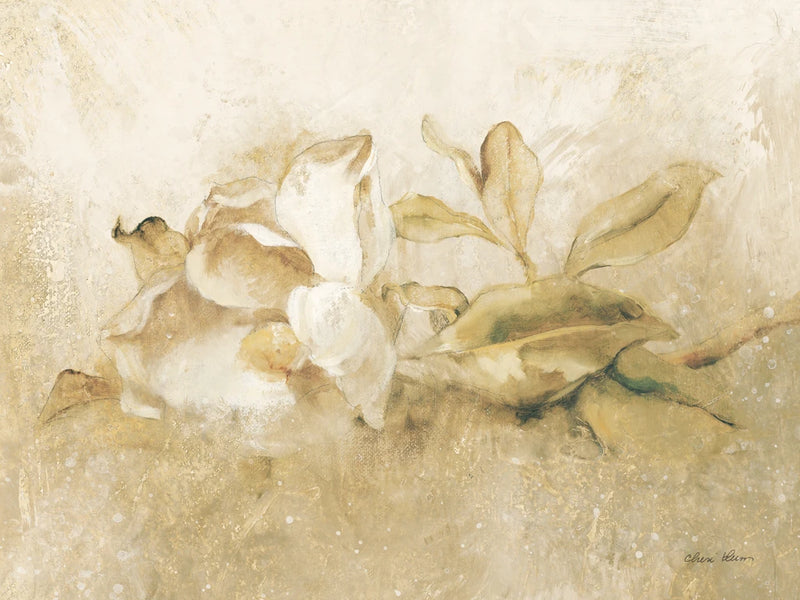 Magnolia I by Cheri Blum