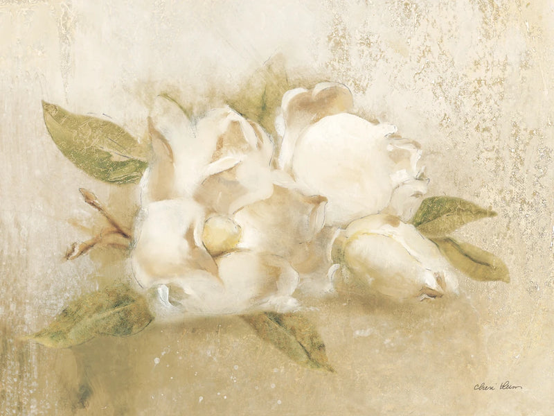 Magnolia IV by Cheri Blum