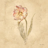 May Wonder Tulip by Cheri Blum. SKU 7352a. Archival Giclee Fine art print for wall decor.