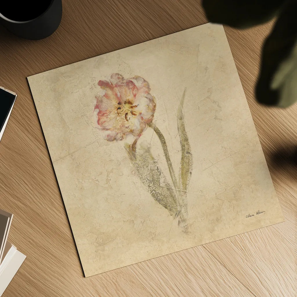 May Wonder Tulip by Cheri Blum. Shown as a detailed flat fine art print, highlighting archival giclee quality. Available as an archival giclee rolled canvas, fine art paper, or poster print. SKU 7352a.