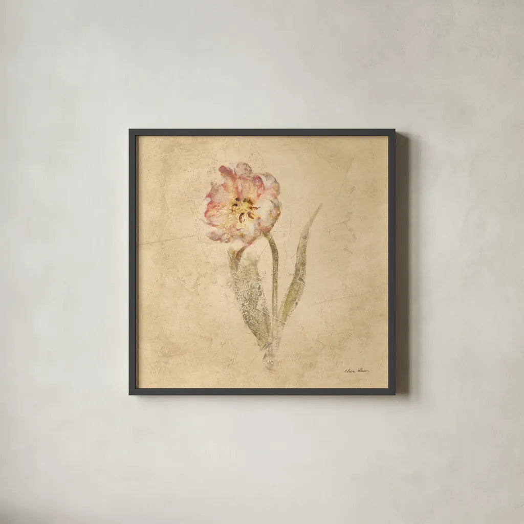 May Wonder Tulip by Cheri Blum. Shown in a sleek black glass frame for a contemporary gallery look. Available as an archival giclee rolled canvas, fine art paper, or poster print. SKU 7352a.