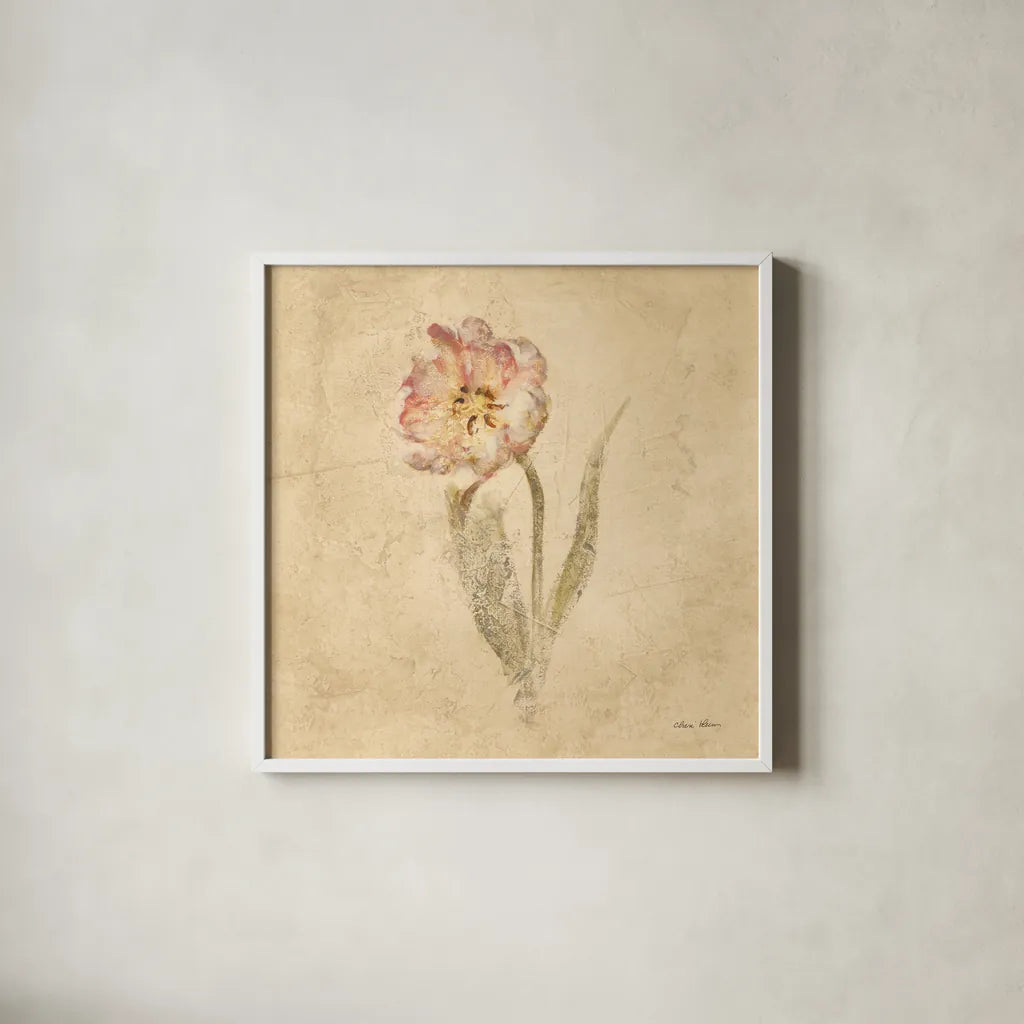 May Wonder Tulip by Cheri Blum. Shown in a crisp white glass frame for a clean and minimalist style. Available as an archival giclee rolled canvas, fine art paper, or poster print. SKU 7352a.