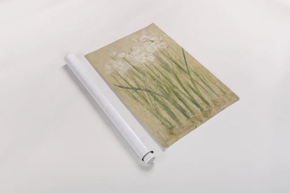 Narcissus by Cheri Blum. shown as a rolled paper print. Available as archival giclee rolled canvas, fine art paper, or poster print. SKU 6800h.