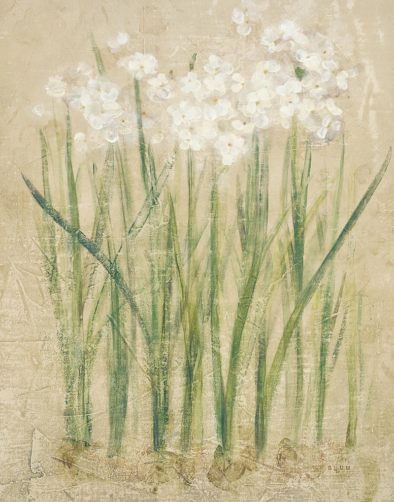 Narcissus Cool by Cheri Blum