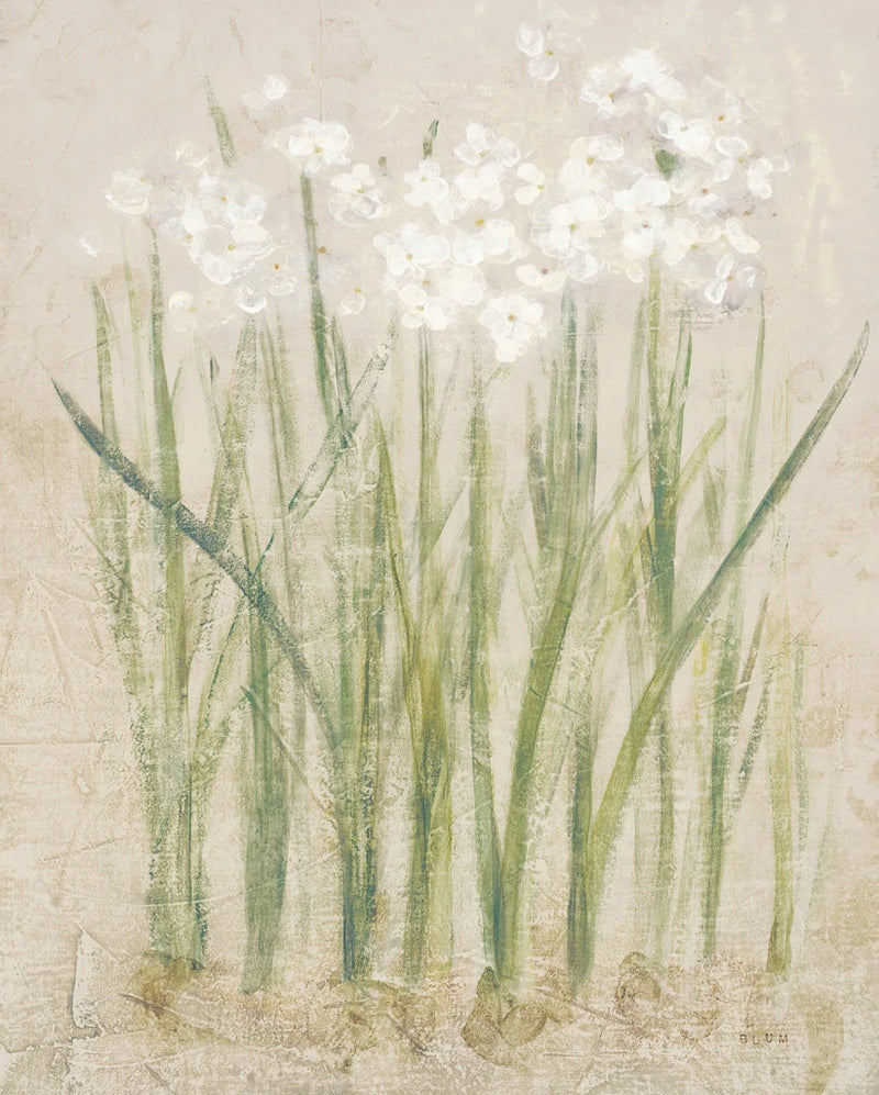 Narcissus Light by Cheri Blum