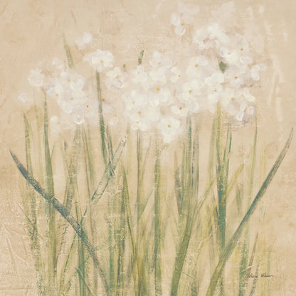 Narcissus Square by Cheri Blum. SKU 62413a. Archival Giclee Fine art print for wall decor.