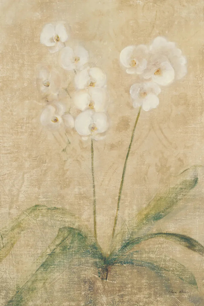 Orchid by Cheri Blum. SKU 6801h. Archival Giclee Fine art print for wall decor.