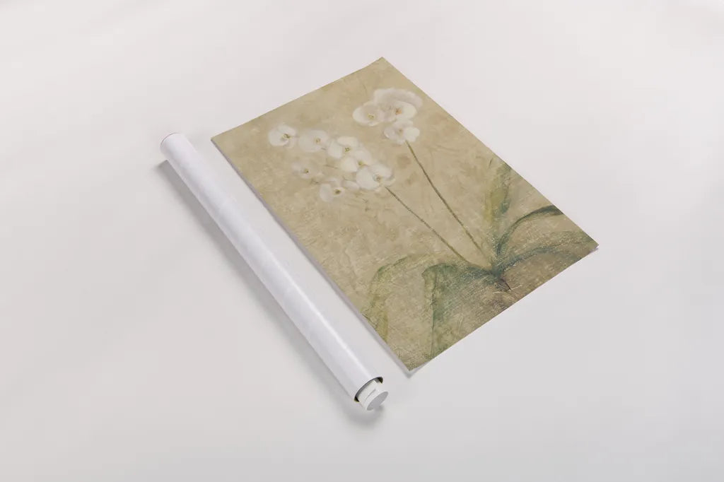 Orchid by Cheri Blum. shown as a rolled paper print. Available as archival giclee rolled canvas, fine art paper, or poster print. SKU 6801h.