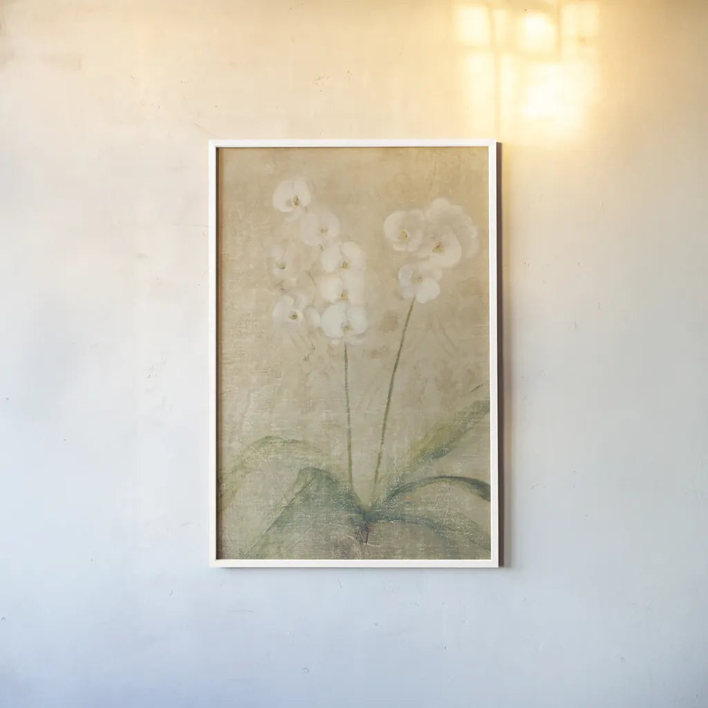Orchid by Cheri Blum. shown as a paper print in a white frame. Available as a archival giclee rolled canvas, fine art paper, or poster print. SKU 6801h.