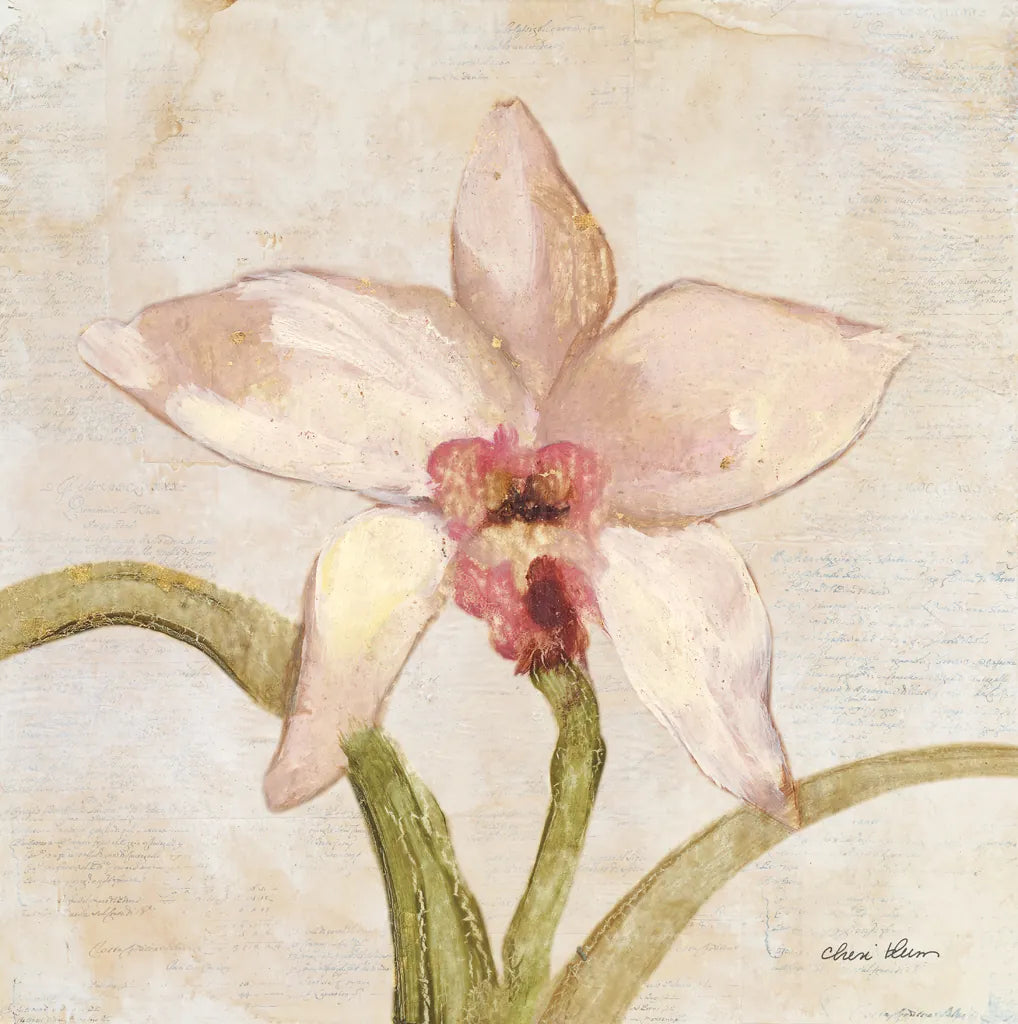 Orchid I by Cheri Blum. SKU 90728a. Archival Giclee Fine art print for wall decor.