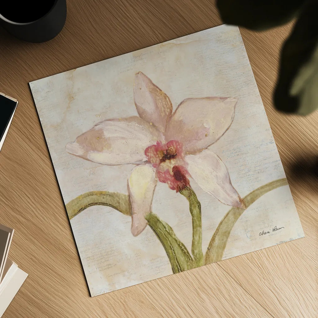 Orchid I by Cheri Blum. Shown as a detailed flat fine art print, highlighting archival giclee quality. Available as an archival giclee rolled canvas, fine art paper, or poster print. SKU 90728a.