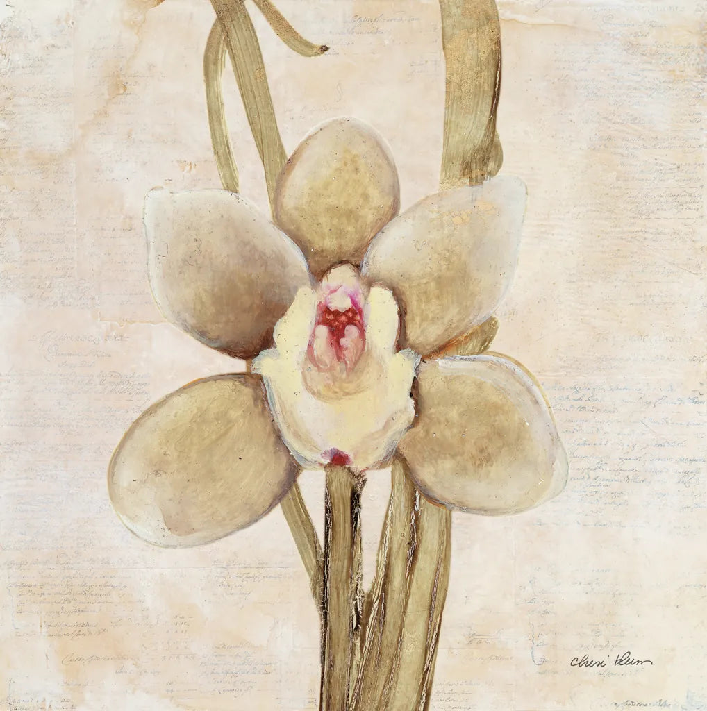 Orchid II by Cheri Blum. SKU 90729a. Archival Giclee Fine art print for wall decor.