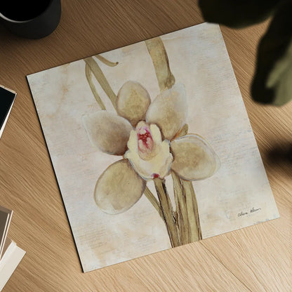 Orchid II by Cheri Blum. Shown as a detailed flat fine art print, highlighting archival giclee quality. Available as an archival giclee rolled canvas, fine art paper, or poster print. SKU 90729a.