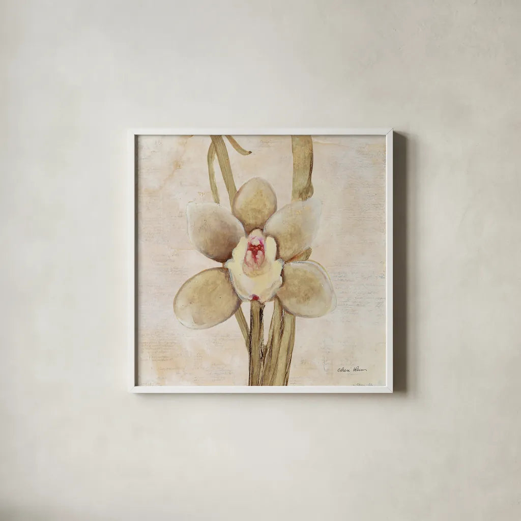 Orchid II by Cheri Blum. Shown in a crisp white glass frame for a clean and minimalist style. Available as an archival giclee rolled canvas, fine art paper, or poster print. SKU 90729a.