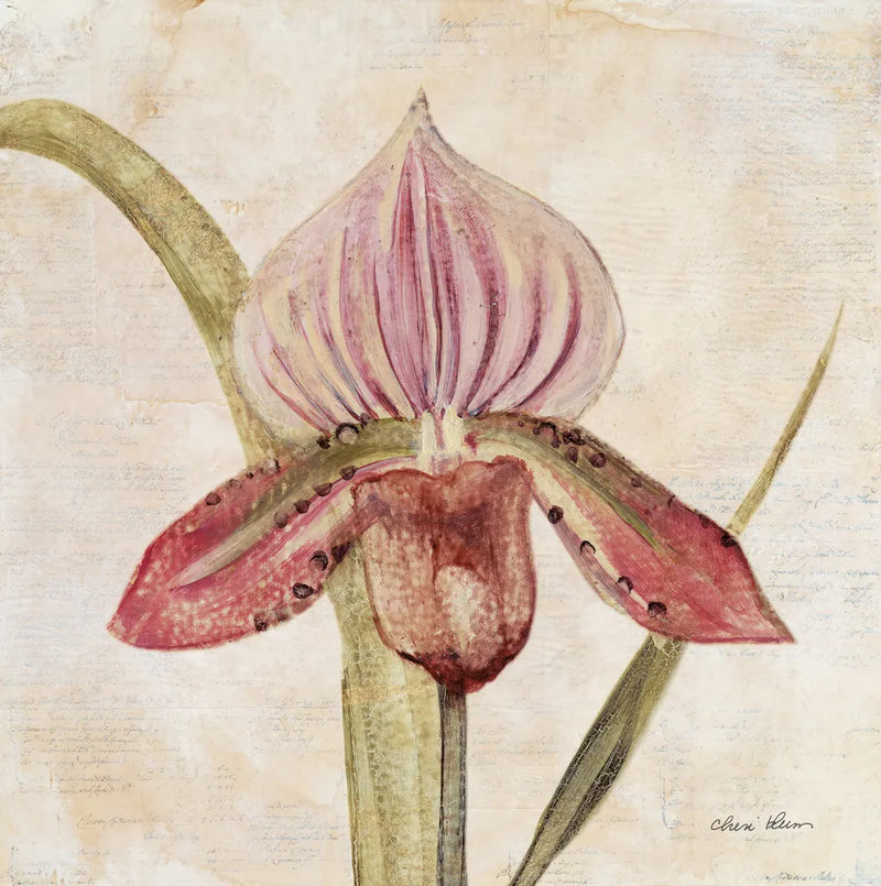 Orchid III by Cheri Blum. SKU 90730a. Archival Giclee Fine art print for wall decor.