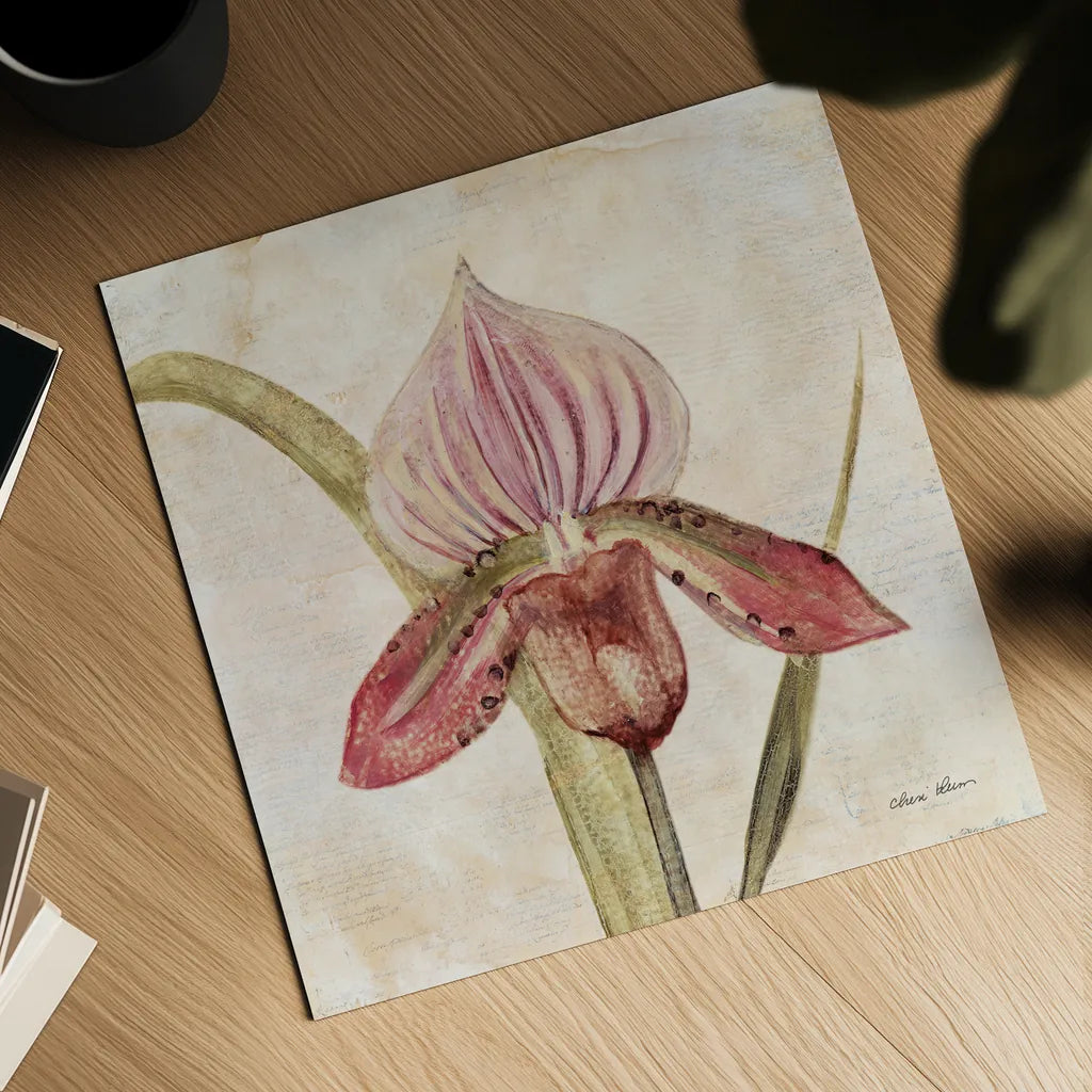 Orchid III by Cheri Blum. Shown as a detailed flat fine art print, highlighting archival giclee quality. Available as an archival giclee rolled canvas, fine art paper, or poster print. SKU 90730a.