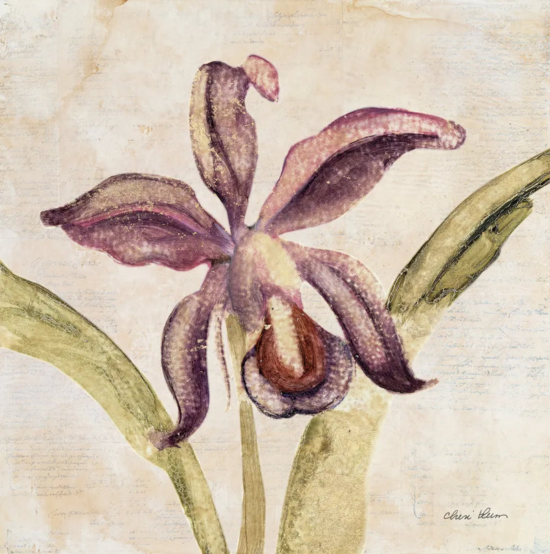 Orchid IV by Cheri Blum. SKU 90731a. Archival Giclee Fine art print for wall decor.