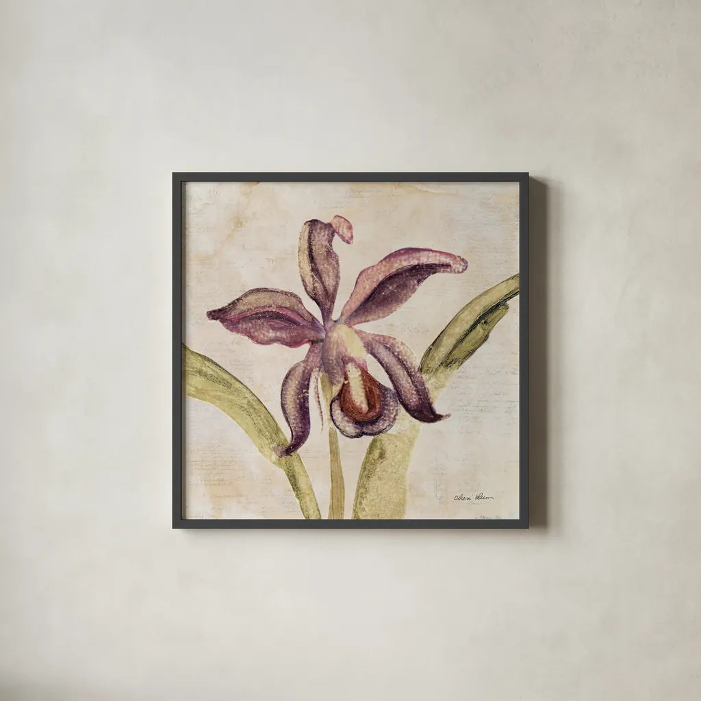 Orchid IV by Cheri Blum. Shown in a sleek black glass frame for a contemporary gallery look. Available as an archival giclee rolled canvas, fine art paper, or poster print. SKU 90731a.