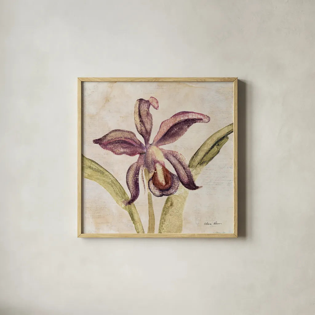 Orchid IV by Cheri Blum. Shown in a natural wood glass frame for a timeless modern aesthetic. Available as an archival giclee rolled canvas, fine art paper, or poster print. SKU 90731a.
