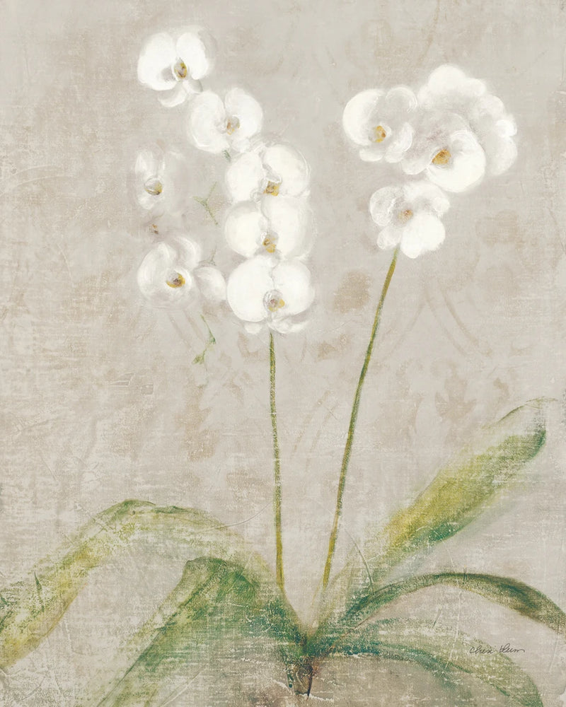 Orchid Light by Cheri Blum