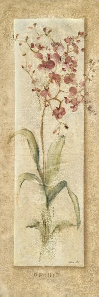 Orchid Panel by Cheri Blum