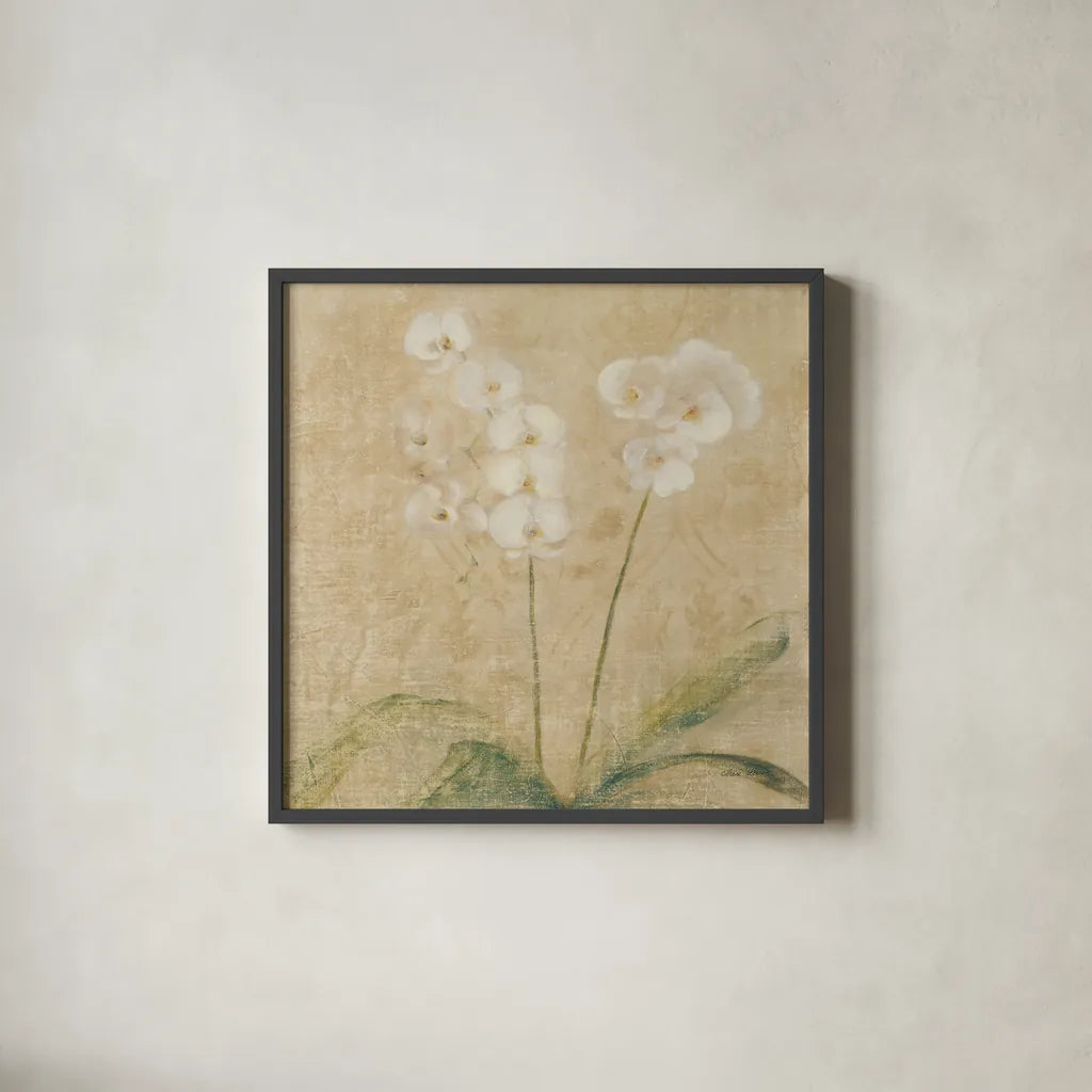 Orchid Square by Cheri Blum. Shown in a sleek black glass frame for a contemporary gallery look. Available as an archival giclee rolled canvas, fine art paper, or poster print. SKU 62414a.