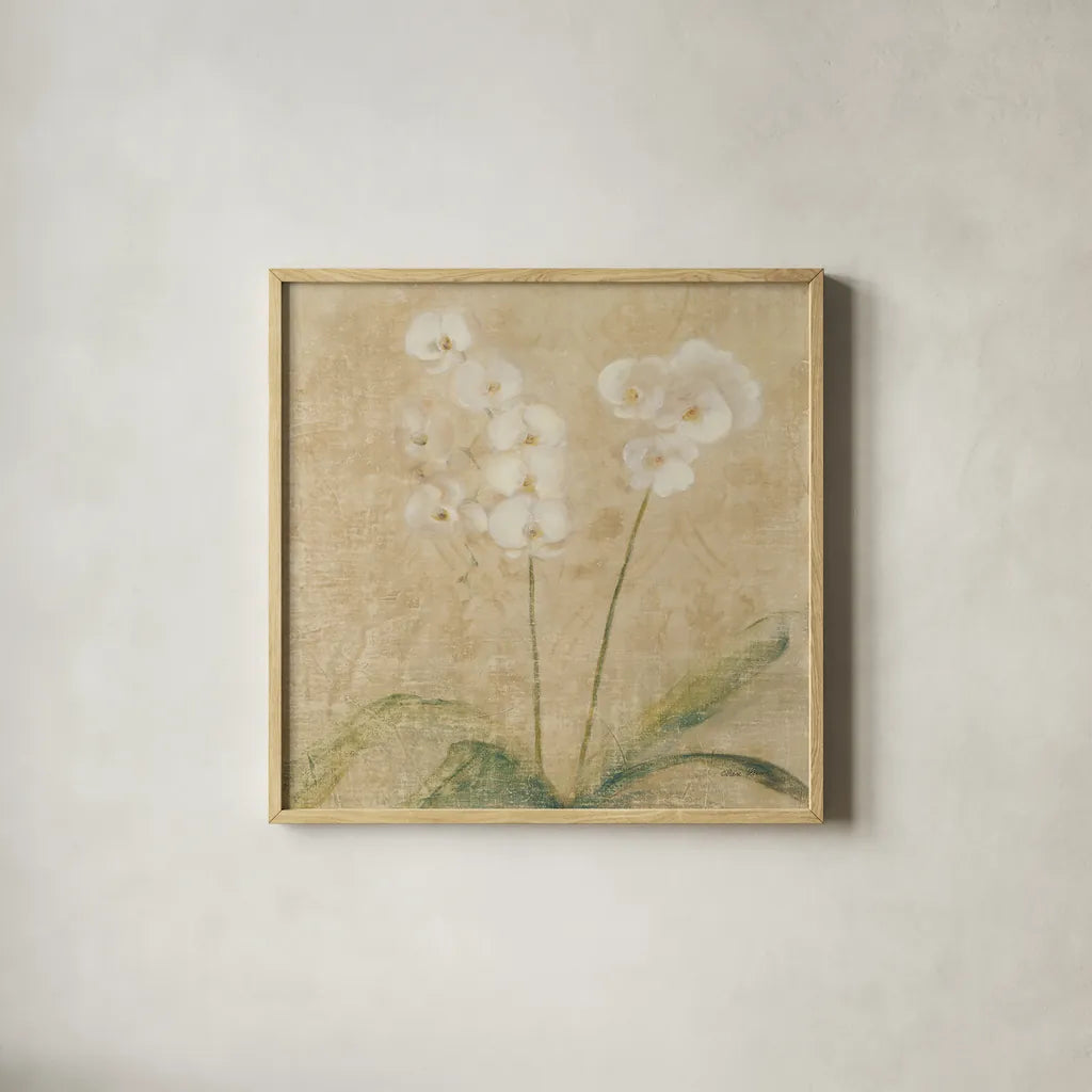 Orchid Square by Cheri Blum. Shown in a natural wood glass frame for a timeless modern aesthetic. Available as an archival giclee rolled canvas, fine art paper, or poster print. SKU 62414a.