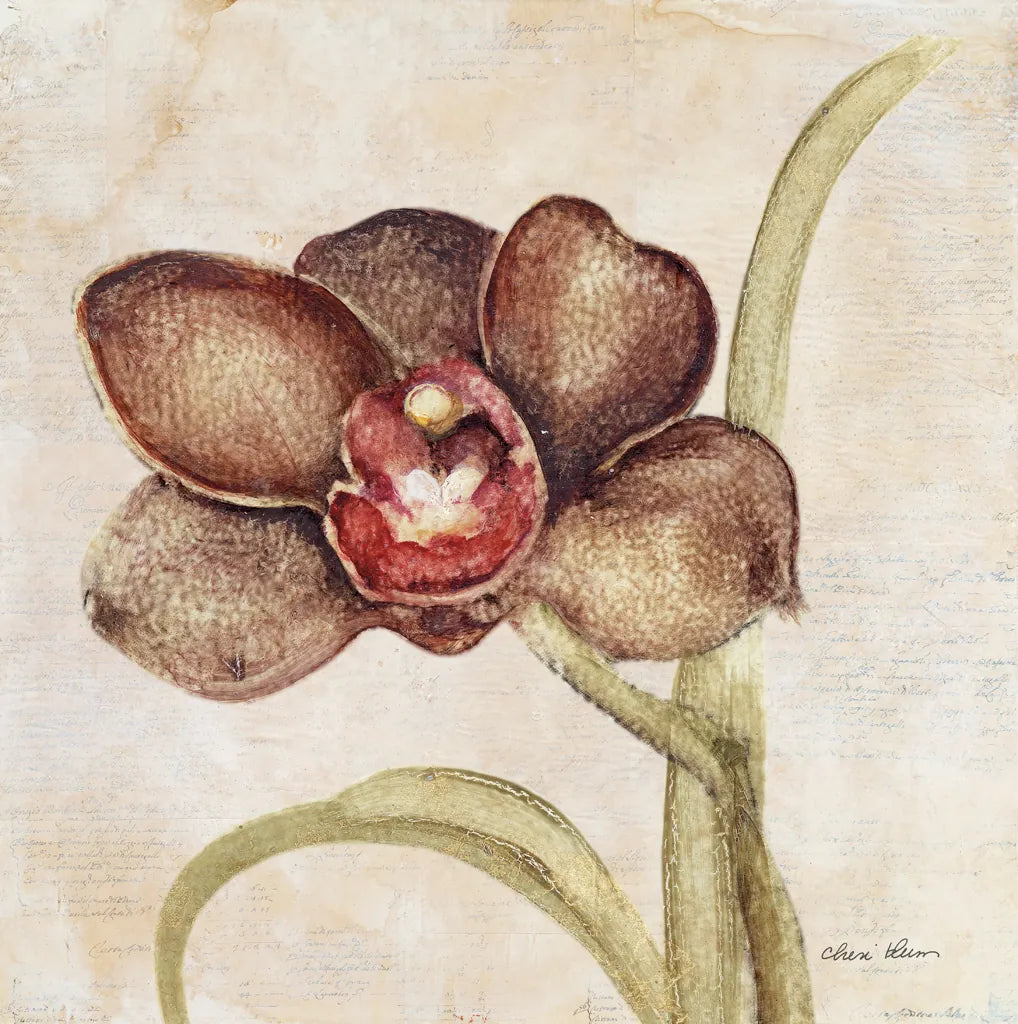 Orchid V by Cheri Blum. SKU 90732a. Archival Giclee Fine art print for wall decor.