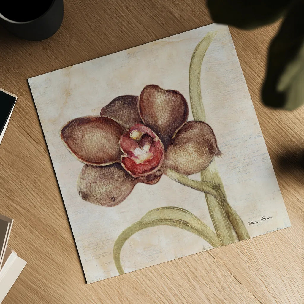 Orchid V by Cheri Blum. Shown as a detailed flat fine art print, highlighting archival giclee quality. Available as an archival giclee rolled canvas, fine art paper, or poster print. SKU 90732a.