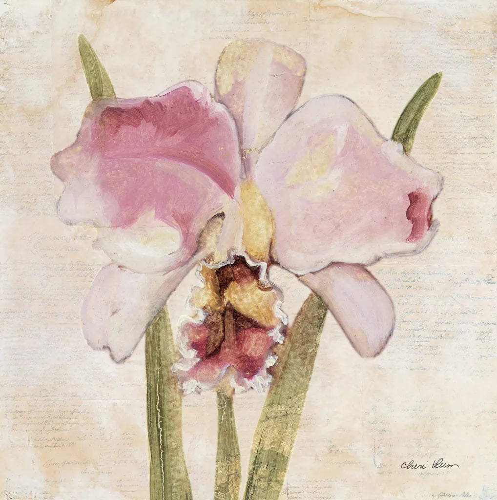 Orchid VI by Cheri Blum. SKU 90733a. Archival Giclee Fine art print for wall decor.