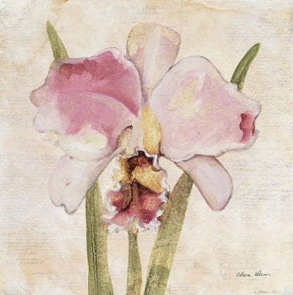 Orchid VI by Cheri Blum. SKU 90733a. Archival Giclee Fine art print for wall decor.