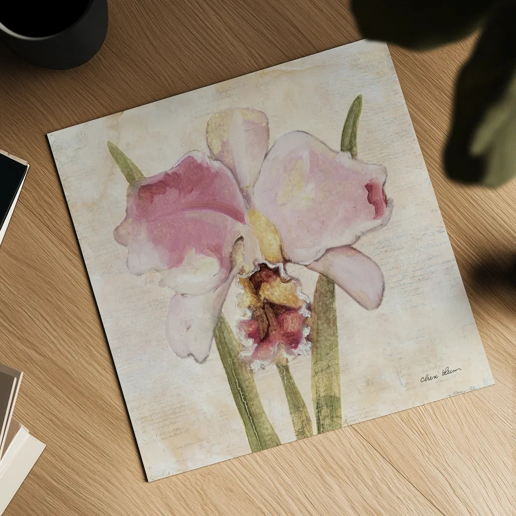 Orchid VI by Cheri Blum. Shown as a detailed flat fine art print, highlighting archival giclee quality. Available as an archival giclee rolled canvas, fine art paper, or poster print. SKU 90733a.