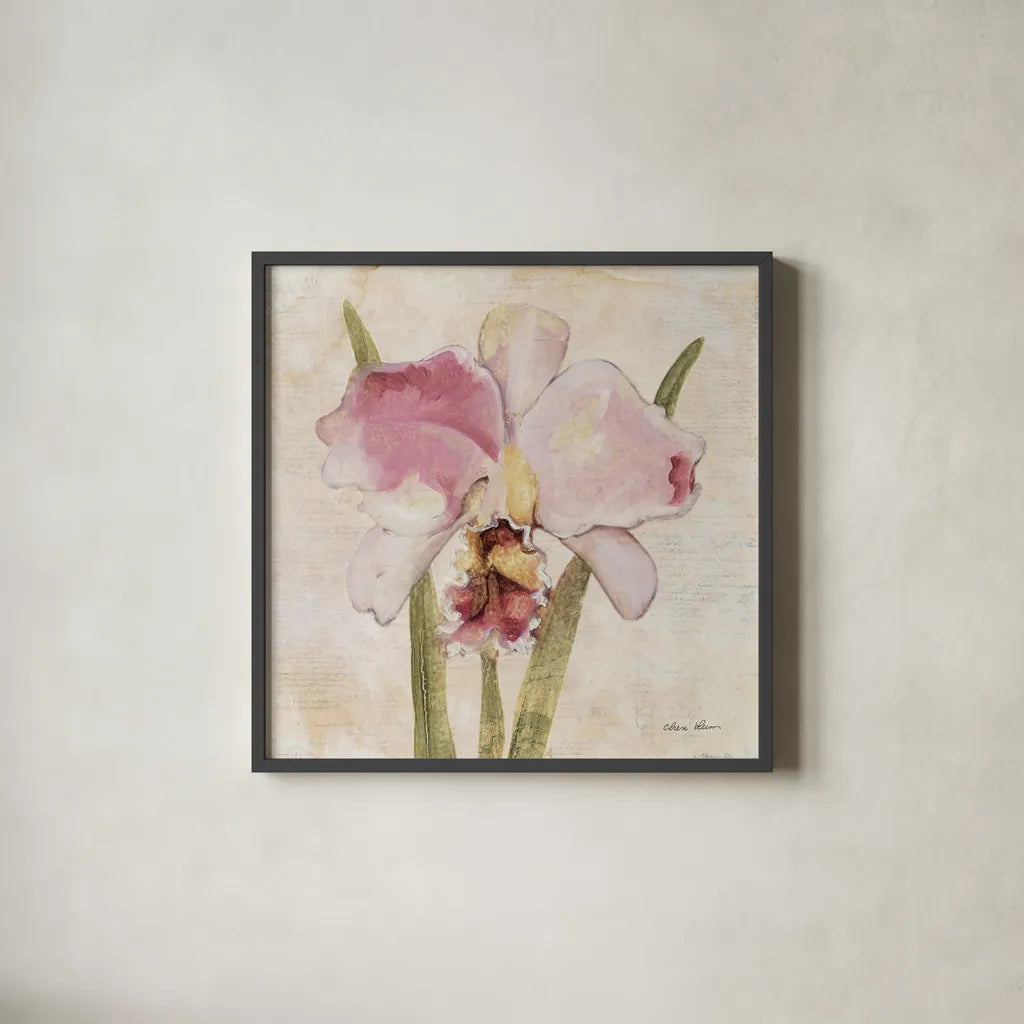Orchid VI by Cheri Blum. Shown in a sleek black glass frame for a contemporary gallery look. Available as an archival giclee rolled canvas, fine art paper, or poster print. SKU 90733a.