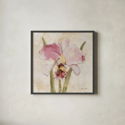Orchid VI by Cheri Blum. Shown in a sleek black glass frame for a contemporary gallery look. Available as an archival giclee rolled canvas, fine art paper, or poster print. SKU 90733a.