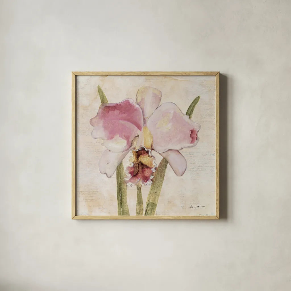 Orchid VI by Cheri Blum. Shown in a natural wood glass frame for a timeless modern aesthetic. Available as an archival giclee rolled canvas, fine art paper, or poster print. SKU 90733a.