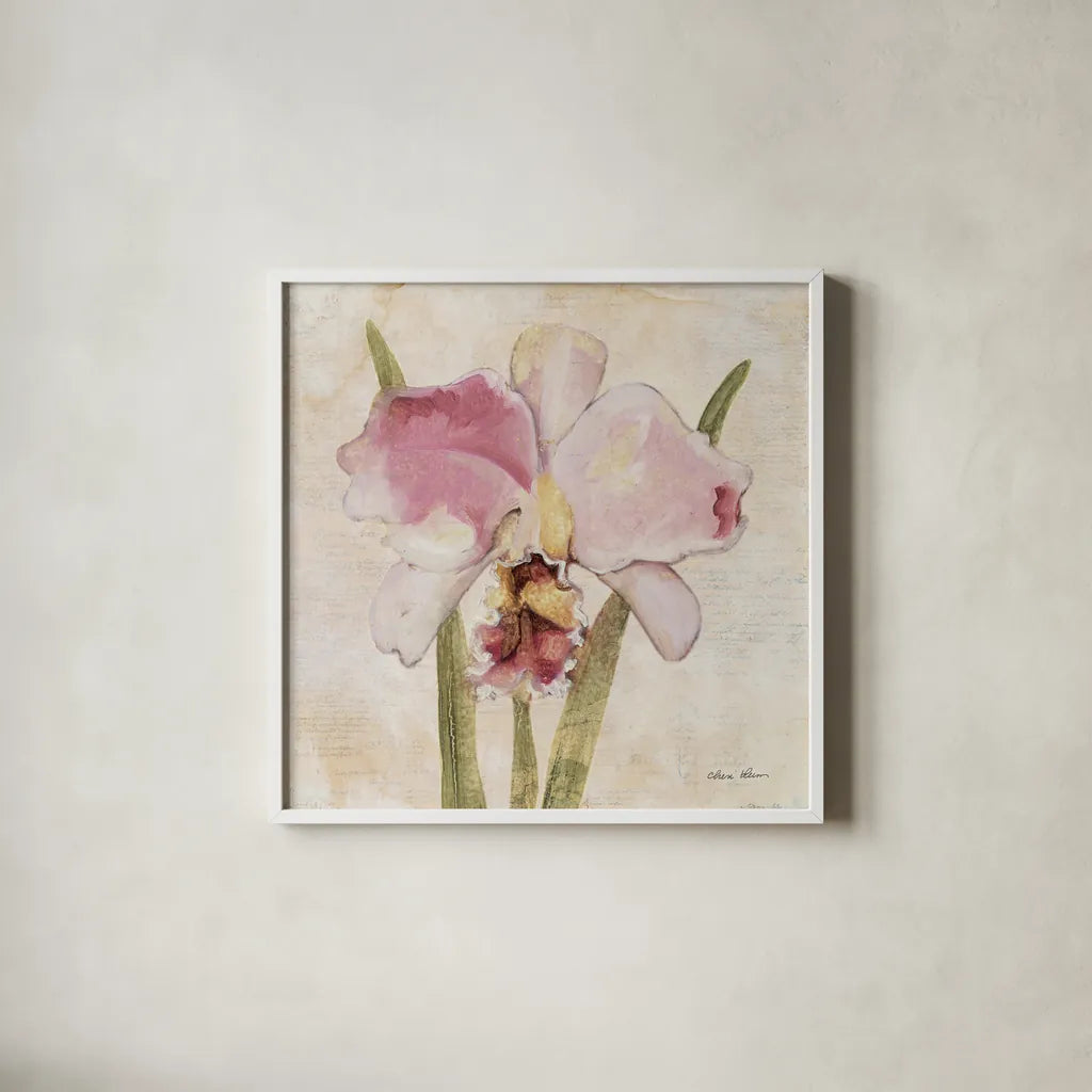 Orchid VI by Cheri Blum. Shown in a crisp white glass frame for a clean and minimalist style. Available as an archival giclee rolled canvas, fine art paper, or poster print. SKU 90733a.