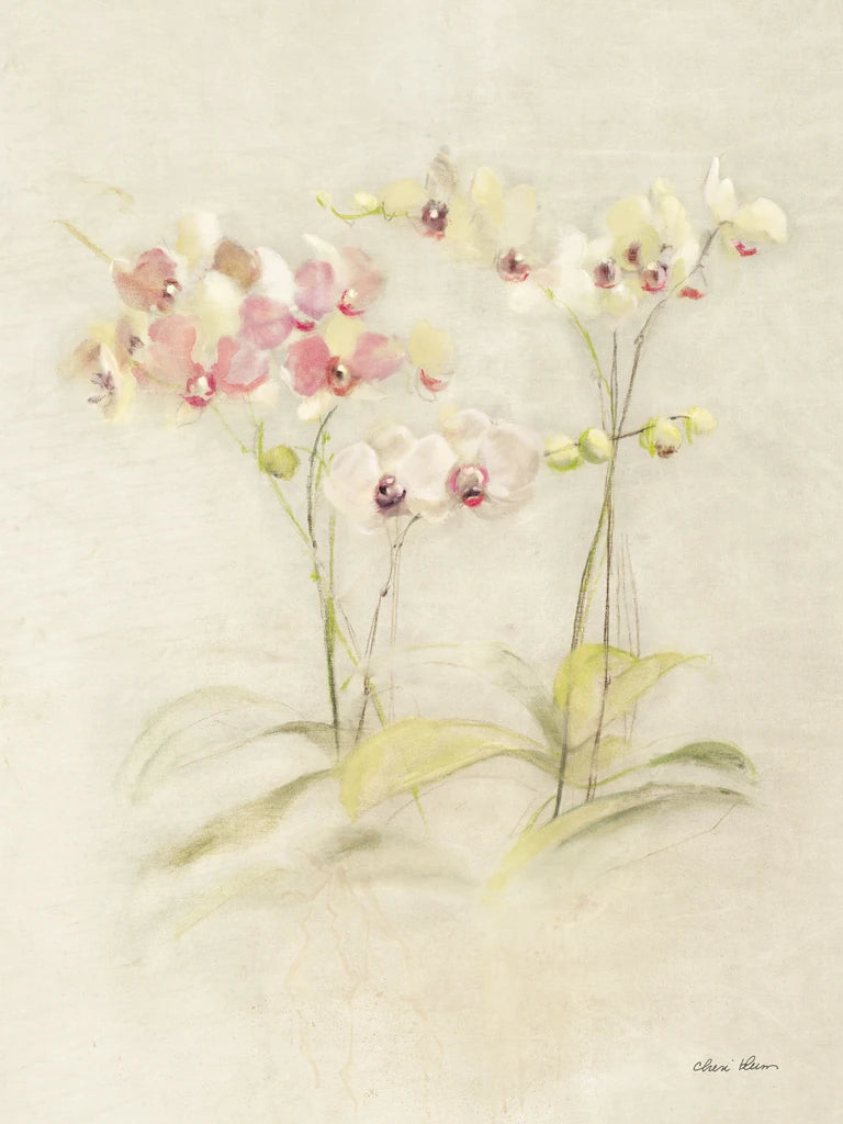 Orchids in Bloom I by Cheri Blum