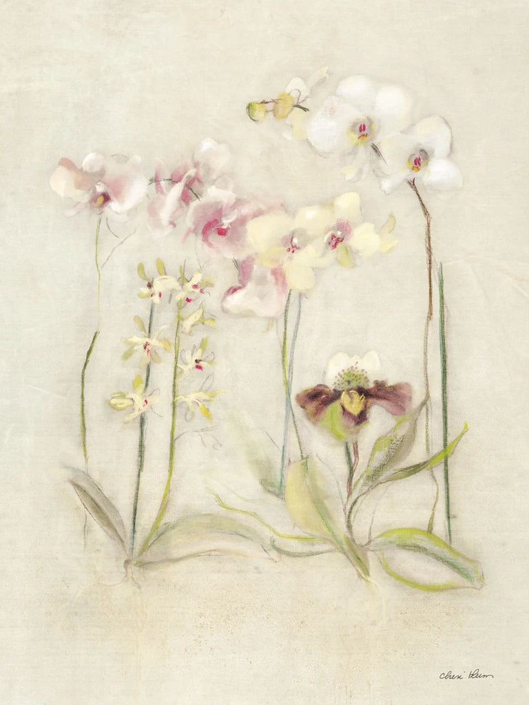 Orchids in Bloom II by Cheri Blum