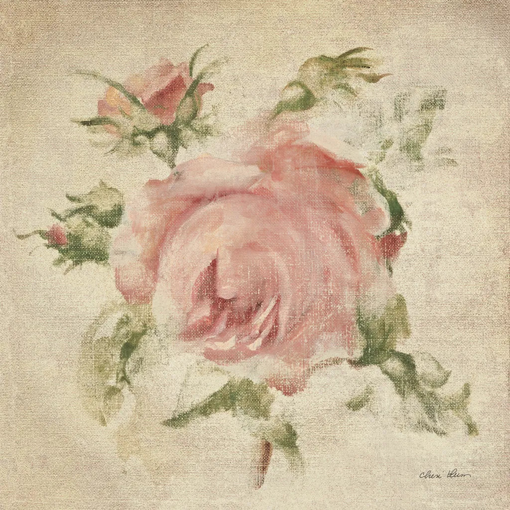 Pale Pink Rose on Antique Linen Light by Cheri Blum. SKU 90526a. Archival Giclee Fine art print for wall decor.